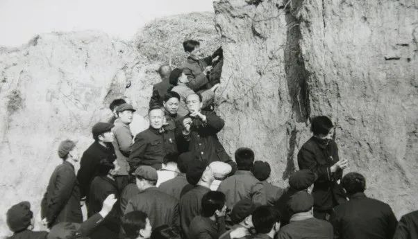 全國(guó)第一次土壤普查（1958-1960）專家指導(dǎo)調(diào)查g